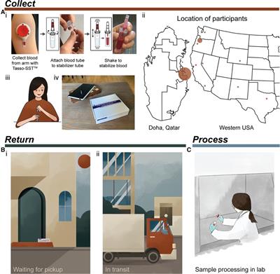 At-home blood collection and stabilization in high temperature climates using homeRNA